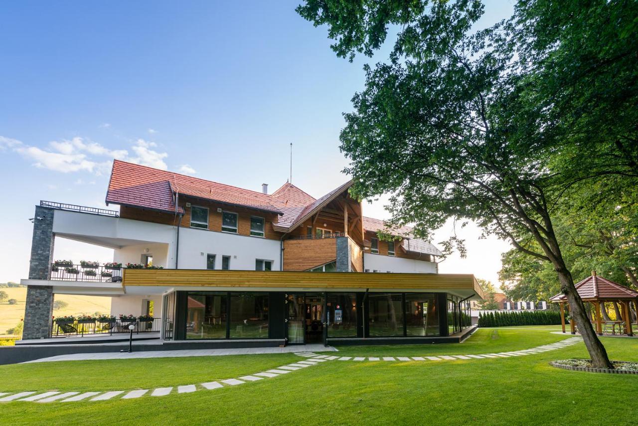 Panorama Boutique Hotel Sfantu Gheorghe  Ngoại thất bức ảnh