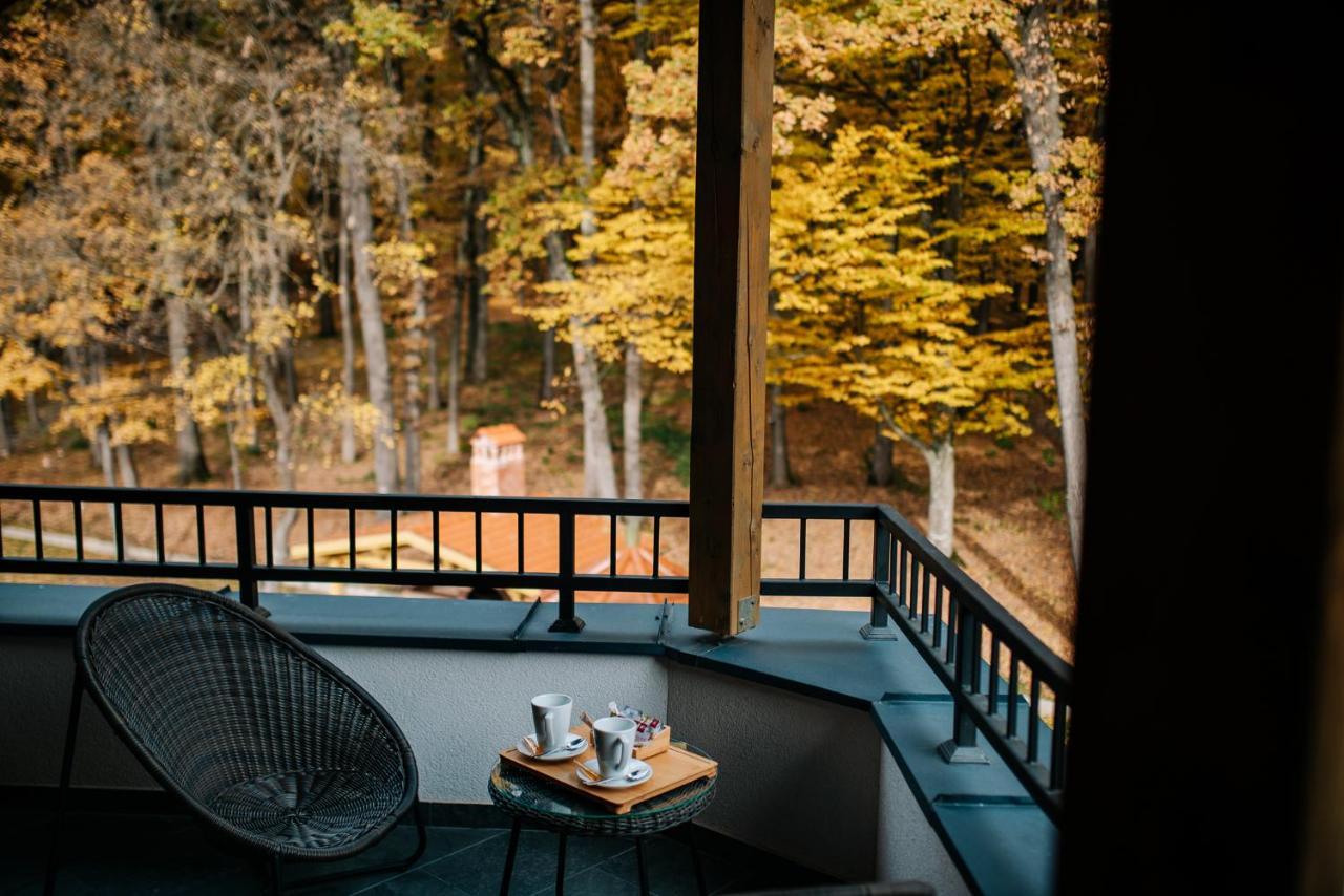 Panorama Boutique Hotel Sfantu Gheorghe  Ngoại thất bức ảnh